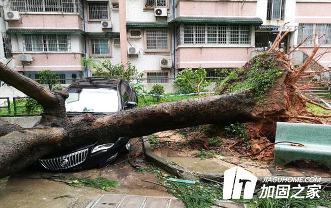 臺風(fēng)“山竹”對建筑物造成多大的影響？